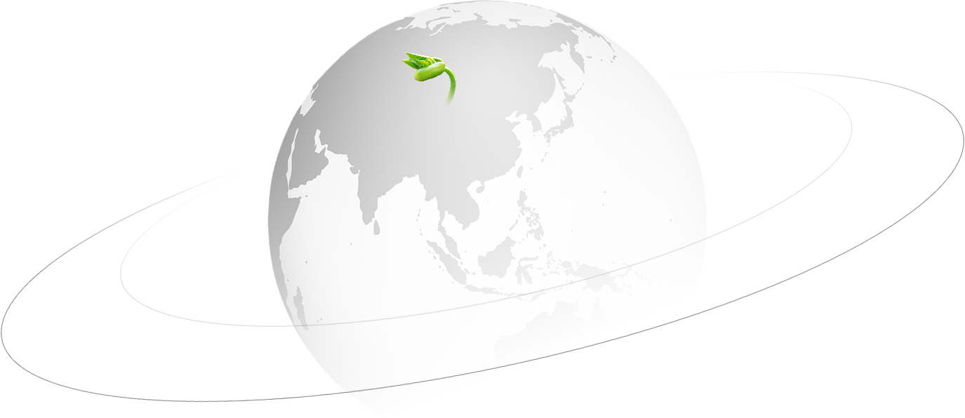 Jiangsu Wanda Cuscinetto Speciale S.p.A.，