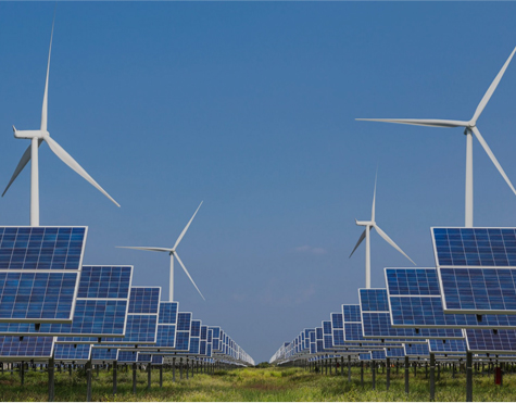 Jiangsu Wanda Cuscinetto Speciale S.p.A.，