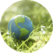 Jiangsu Wanda Cuscinetto Speciale S.p.A.，