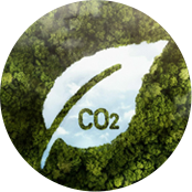 Jiangsu Wanda Cuscinetto Speciale S.p.A.，