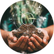 Jiangsu Wanda Cuscinetto Speciale S.p.A.，