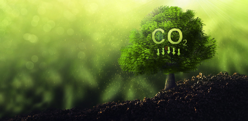 Jiangsu Wanda Cuscinetto Speciale S.p.A.，