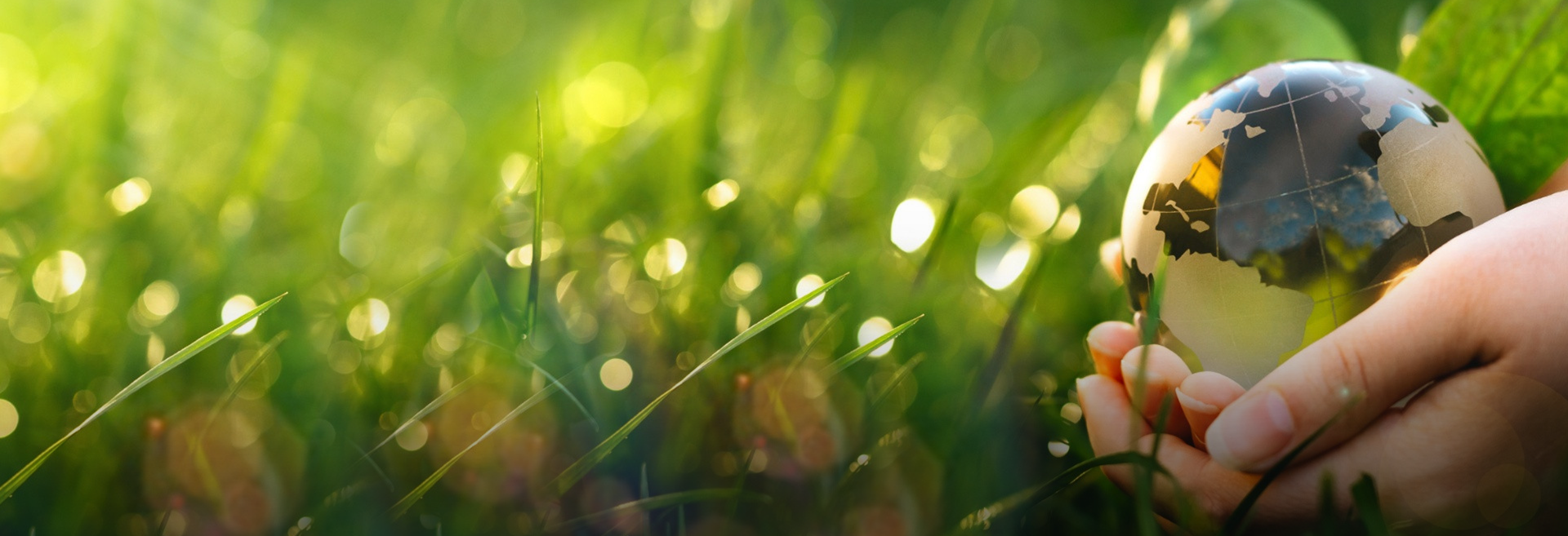 Jiangsu Wanda Cuscinetto Speciale S.p.A.，